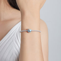 Travel Round The World Charm