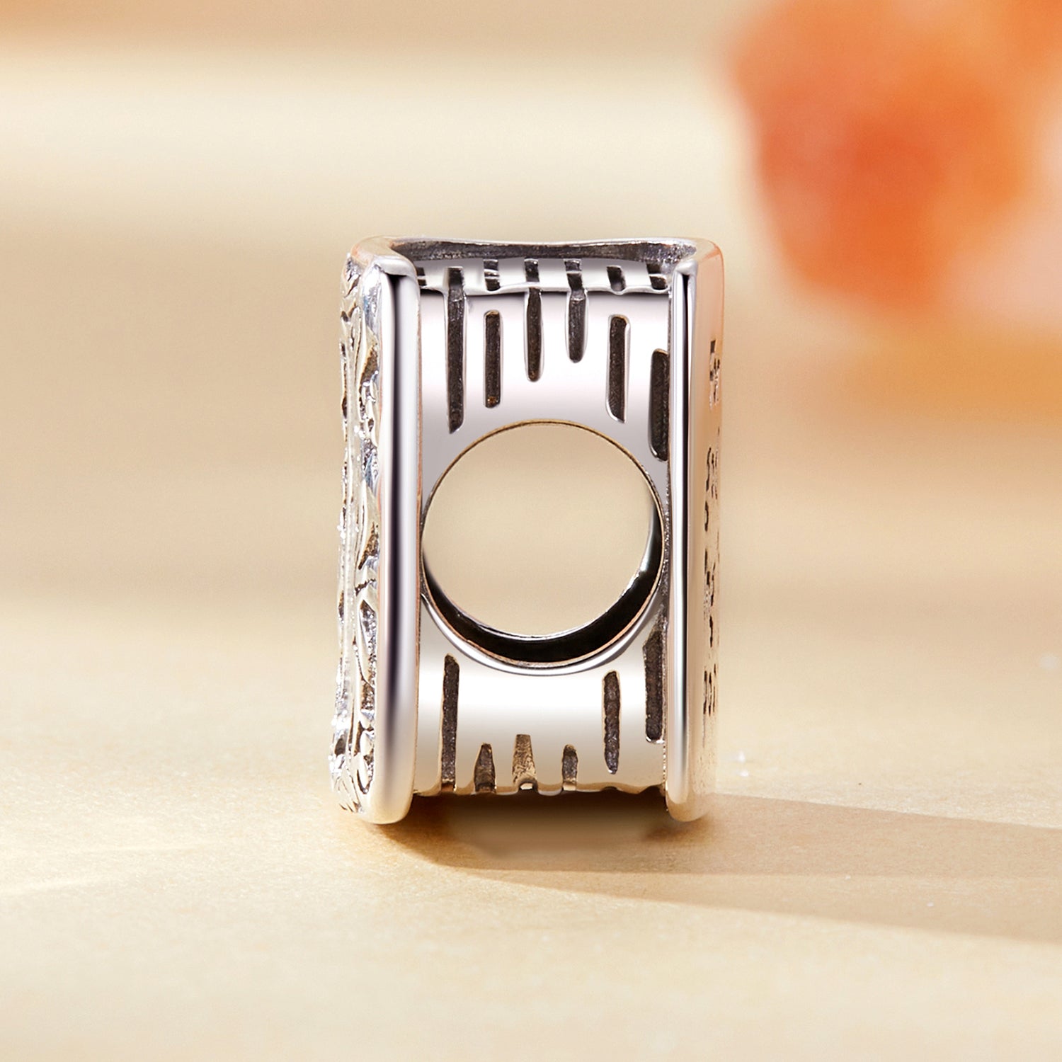 Holy Bible Charm